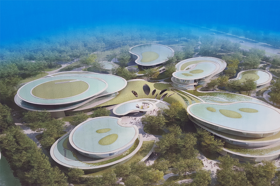 ����Ļ�����Ч���D